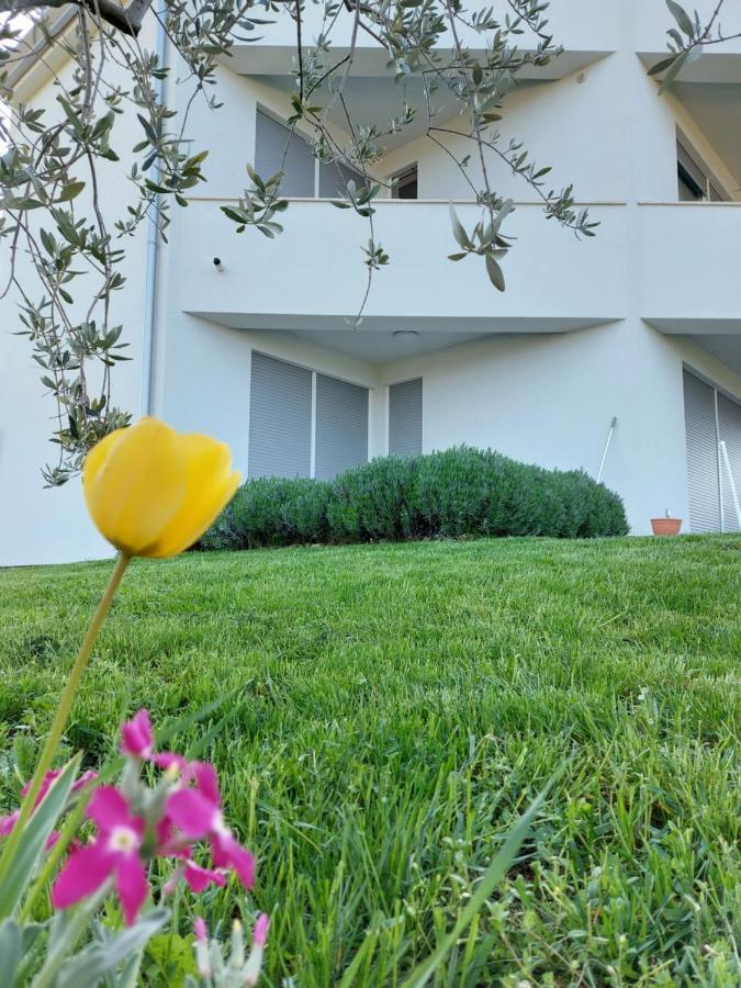 Apartment Fiorella Poreč Exterior foto